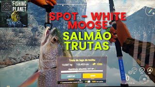 Bora de Fortnight