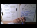 Pythagorean Theorem Proofs and Concepts