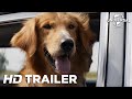 Trailer 1 do filme A Dog's Purpose