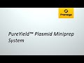 Plasmid Miniprep Process Steps