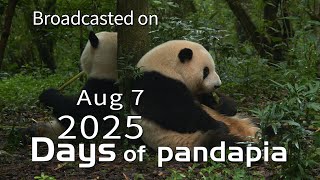 20250807 Broadcast Top Highlights 11