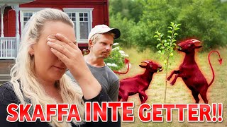 De bara FÖRSTÖÖÖÖR | VLOGG #599