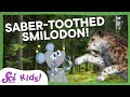 Understanding Smilodon and Teeth
