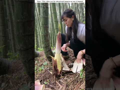 poor woman finding foods 😭 #facts #shortsfeed #survivalskills