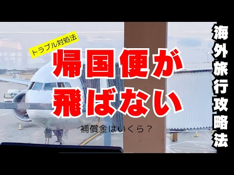 海外一人旅【トラブル】飛行機が飛ばなかった〈＃426〉