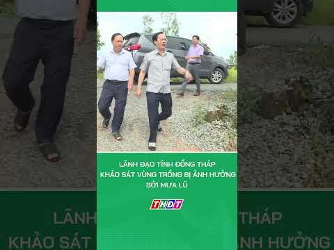 Lãnh đạo tỉnh Đồng Tháp khảo sát vùng trồng bị ảnh hưởng bởi mưa lũ #nongnghiepmientay