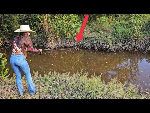 LUGAR INFESTADO DE PEIXE GIGANTE. 😱