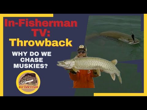 In-Fisherman Classics: Muskie Mechanics and Why We Chase Muskies