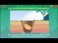 Exploring the Stages of the Plant Life Cycle