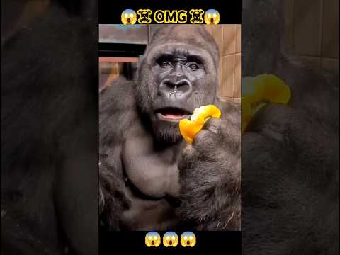 Hunnu ka attitude ☠️😱😱 #comedyvideos #funnyshorts