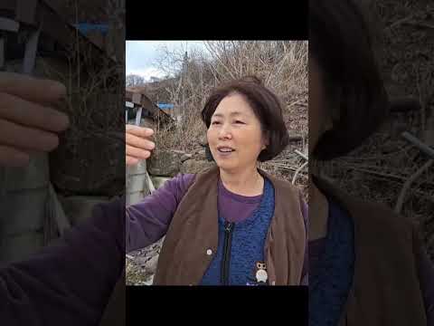 시골 갑질에 당하는 여성귀농인