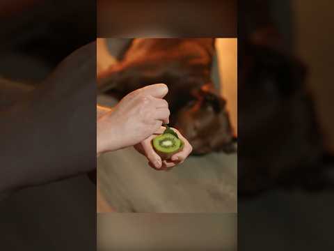 A nagy kiwi trükk. Te meghámozod?  #recept #kiwi #gyümölcs #neked