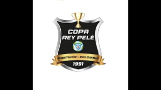 TUTORIAL PLANILLAS DE INSCRIPCION COPA REY PELE