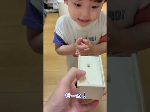 長男君2さいクモドッキリ!! #ゆうひなたチャンネル #クモ #かわいい #ドッキリ #2才