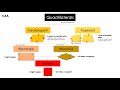 Properties and Classification of Quadrilaterals