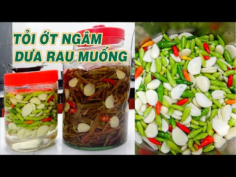 TỎI ỚT ngâm giấm trắng giòn để được lâu   DƯA RAU MUỐNG giòn ngon làm lần đầu thành công