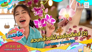 สวนกล้วยไม้ แอร์ออคิดส์ (2) อ.บางเลน จ.นครปฐม | เรื่องเด็ดเอ็ดตะโร | 11 ส.ค. 68 (3/4)