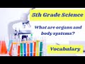 Science Notebook Setup and Organ Systems