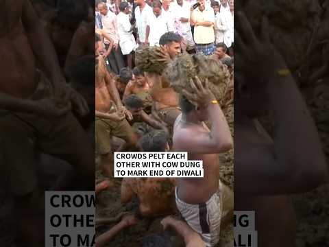 Crowds pelt each other with cow dung to mark the end of Diwali | AFP #shorts