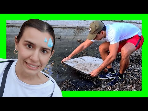 🔴 BUSCANDO BICHOS con mi Novia!