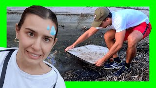 🔴 BUSCANDO BICHOS con mi Novia!