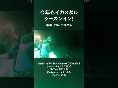 【イカメタル】小浜のヤリイカメタルシーズンイン!