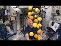 Food Challenges in Space Missions