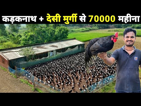 कड़कनाथ + देसी मुर्गी +गिन्नी फॉल से 70 हजार महीना कमाई | Poultry farming