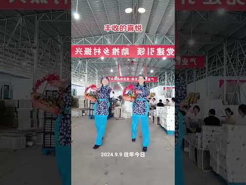 又是一年收枣季#丰收的季节 DOU@网络小助手