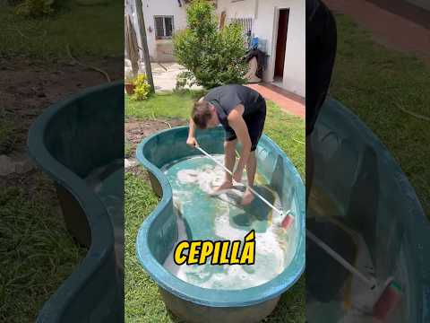 Limpio la pileta podrida de mi abuela ? #tiktok #viral #comedia #challenge