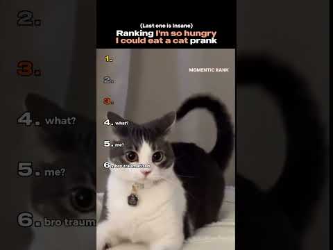 Ranking I'm so hungry I could eat a cat prank