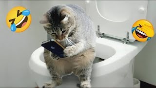 New Funny Animals 2023 🤣😍 Funniest Cats and Dogs Videos 😸🐶 Part 3