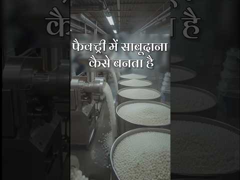 साबूदाना कैसे बनता है फैक्ट्री में #shorts #sabudana