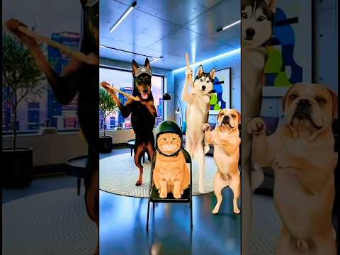 Cat Blames the Wrong Dog 😹 Doberman Started It — Bulldog’s Reaction Is Priceless! 🔥 #shorts