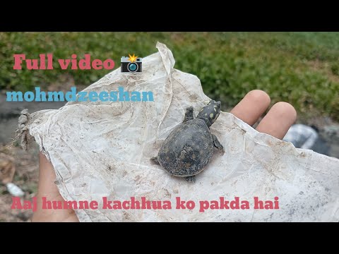 Aaj humne Apne gaon mein kachhua ko pakda hai mohmdZeeshan|Full video village 🍃🍃😊📸👈😂😂