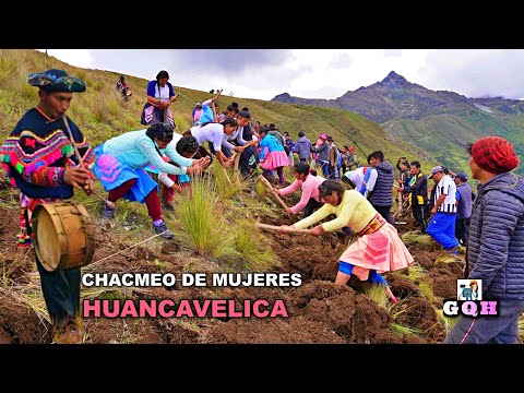 Concurso de Chacmeo de Mujeres-San Juan de Chilcapata-Huancavelica😘 | Isabel Quispe