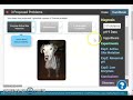 Enzyme Function and Digestion Issues