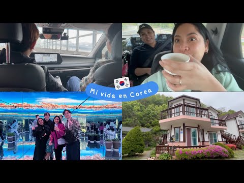 Vlog 🇰🇷 paseo fuera de Seúl 🚗 la pasamos increíble con nuestros amigos! 🫶🏼