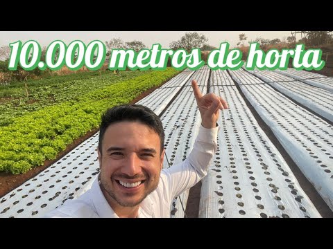 Como é uma horta de 10000 metros quadrados? Produz quanto?