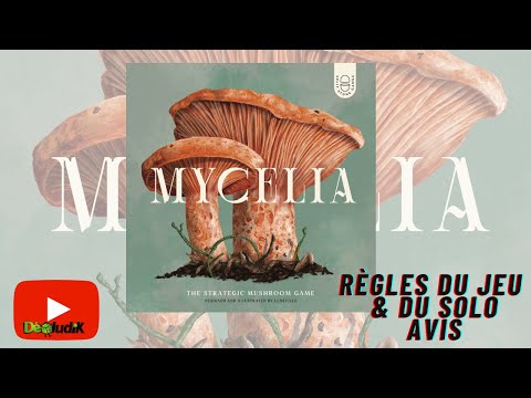 Mycelia - Règles du Jeu & du Solo + Avis - Happy Meeple Games