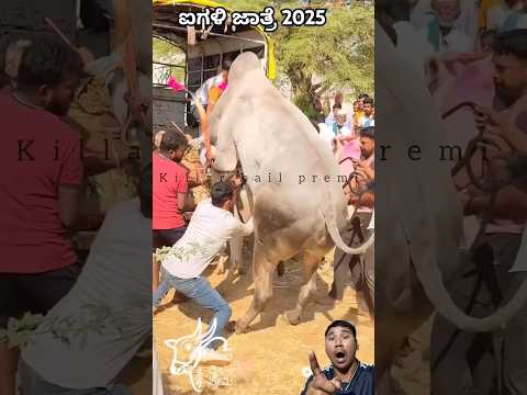 Wow๐ฑ๐ฑ๐ฑ#pets #horsetrack #shortvideo #funny #funnypet #shorts