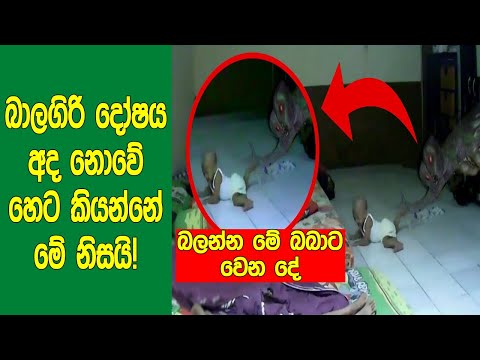 බාලගිරි දෝෂය අද නොවේ හෙට කියන්නේ මේ නිසයි! බලන්න වෙන දේ! | Videos That'll Make You Scratch Your Head