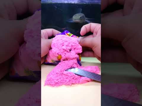 Open my j3lly share it with the fish #shorts #sneakhead #candy