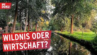Zu viel Wildnis für den Spreewald? | Konflikt um den Naturschutz | rbb24 Reportage