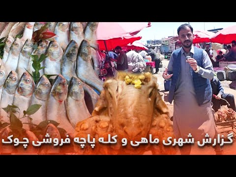 گزارش ویژه از کله پاچه وماهی فروشی ها چوک کابل