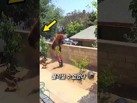 내 자식 건들면 못참지