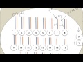 Understanding Chromosomes and Chromatids