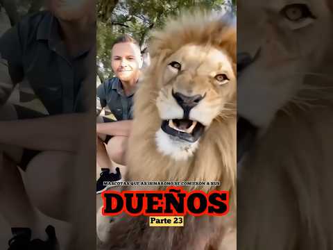 Mascotas que As3sinaron o se comieron a sus dueños | Parte 23