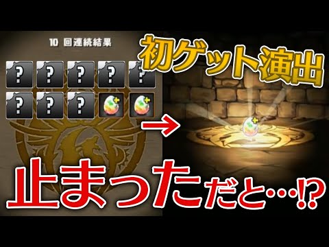 【12月編】無料スーパーゴッドフェスで初ゲット演出入ったんだが！？【パズドラ】