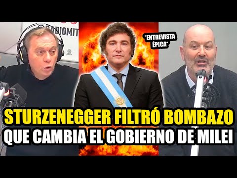 STURZENEGGER FILTRÓ BOMBAZO QUE CAMBIA DEFINITIVAMENTE EL GOBIERNO DE MILEI